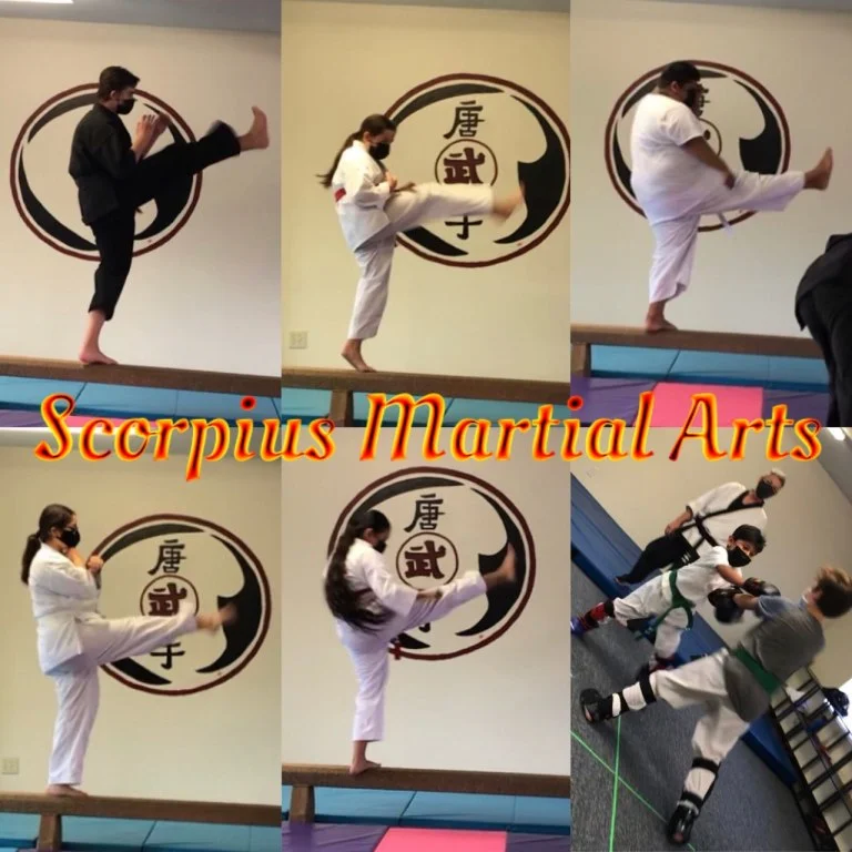 Scorpius Martial Arts academy photo