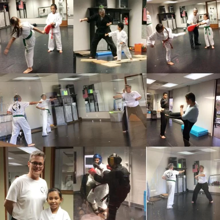 Scorpius Martial Arts academy photo