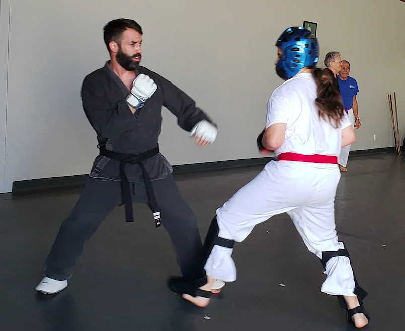 Scorpius Martial Arts academy photo