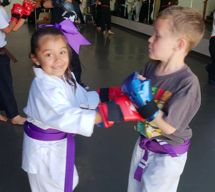 Scorpius Martial Arts academy photo