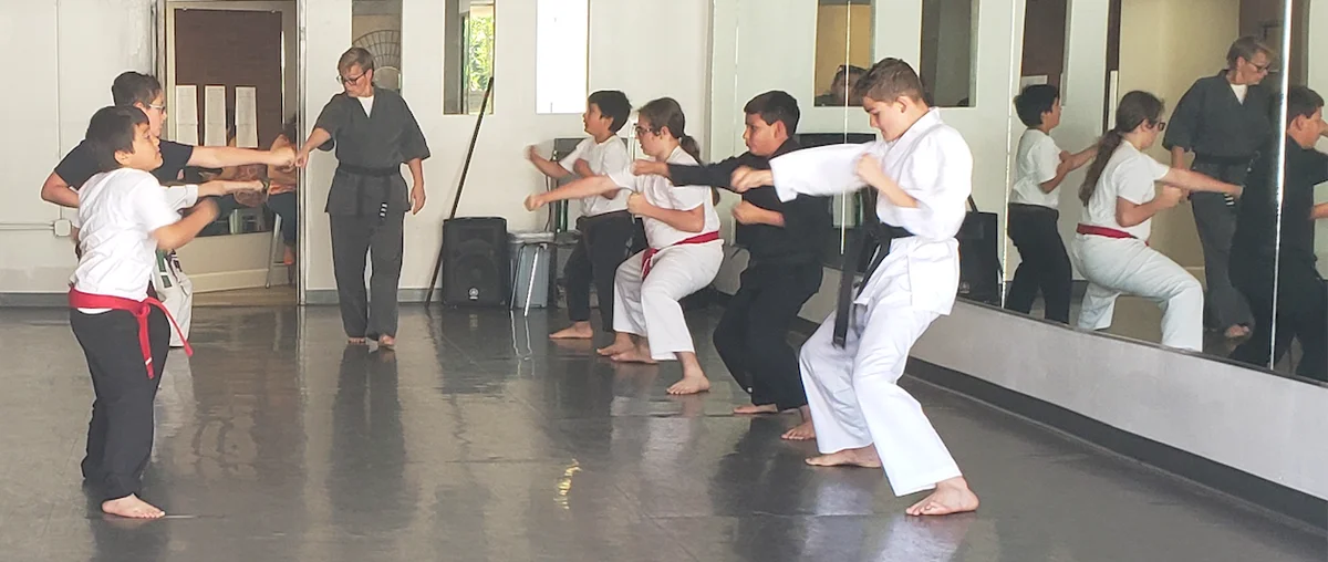 Scorpius Martial Arts academy photo