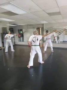 Scorpius Martial Arts academy photo