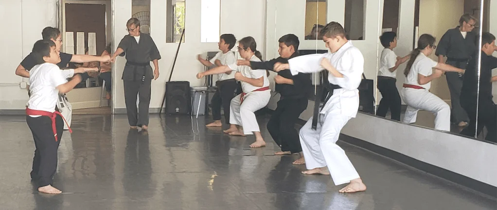 Scorpius Martial Arts academy photo