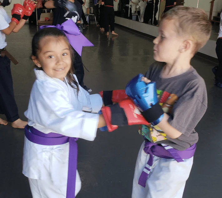 Scorpius Martial Arts academy photo