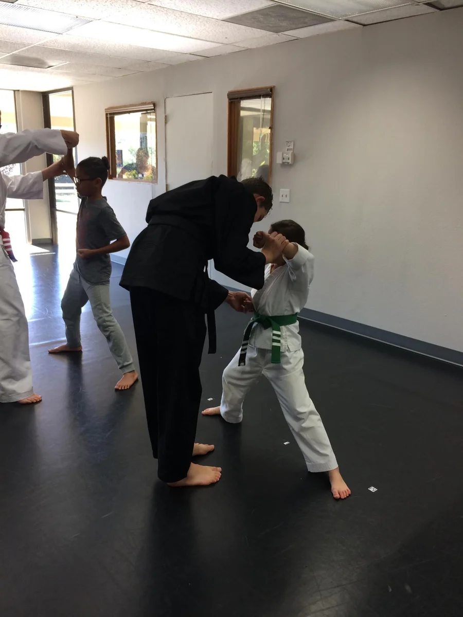 Scorpius Martial Arts academy photo