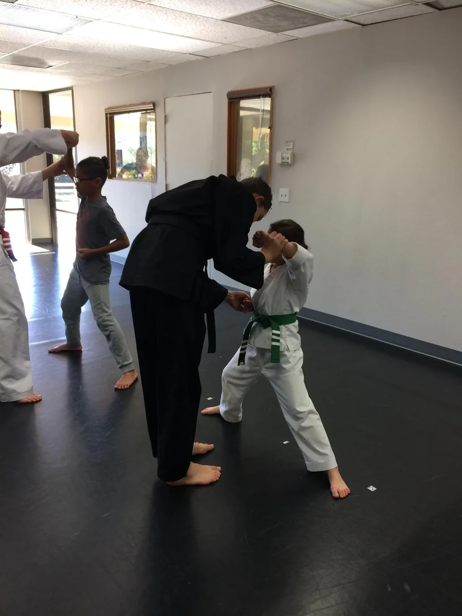 Scorpius Martial Arts academy photo