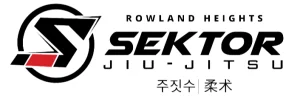 Sektor BJJ (Sektor Jiu-Jitsu) academy photo