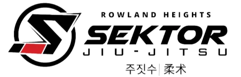 Sektor BJJ (Sektor Jiu-Jitsu) academy photo