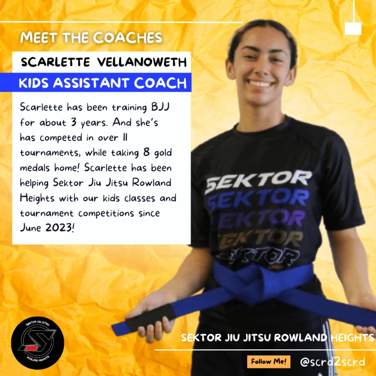 Sektor BJJ (Sektor Jiu-Jitsu) academy photo