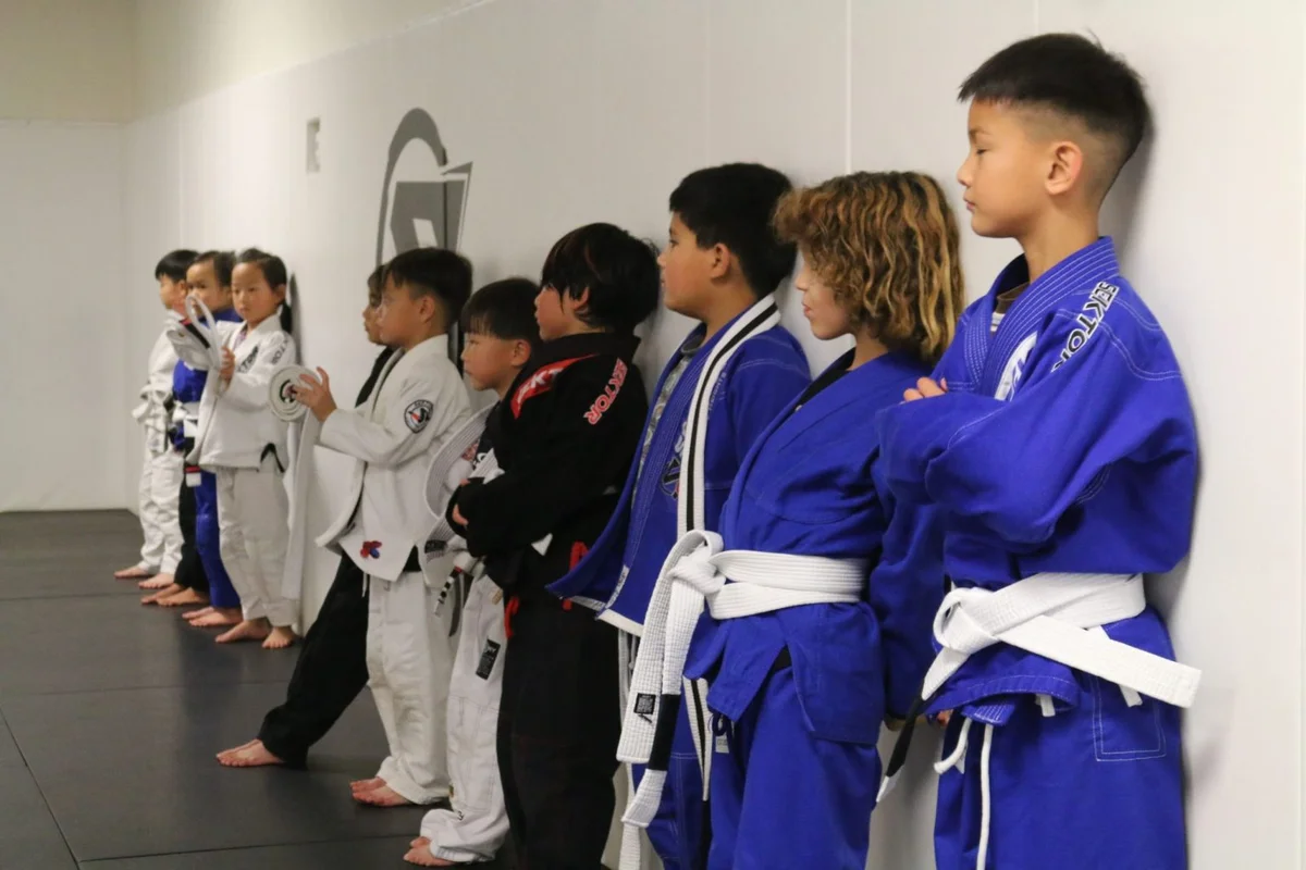 Sektor BJJ (Sektor Jiu-Jitsu) academy photo