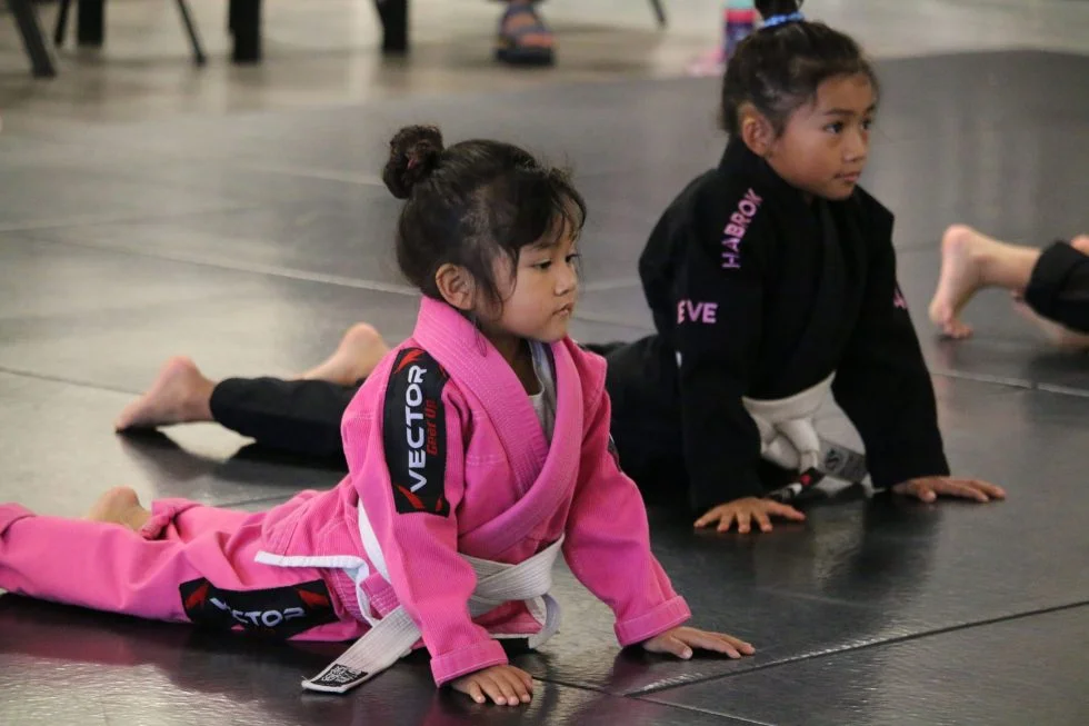 Sektor BJJ (Sektor Jiu-Jitsu) academy photo