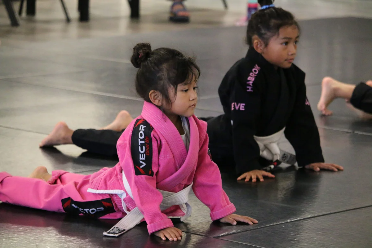 Sektor BJJ (Sektor Jiu-Jitsu) academy photo