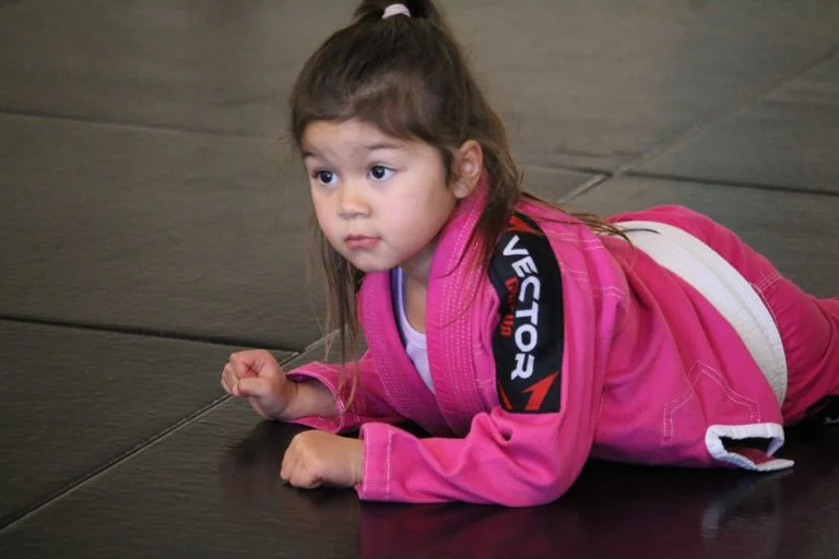 Sektor BJJ (Sektor Jiu-Jitsu) academy photo