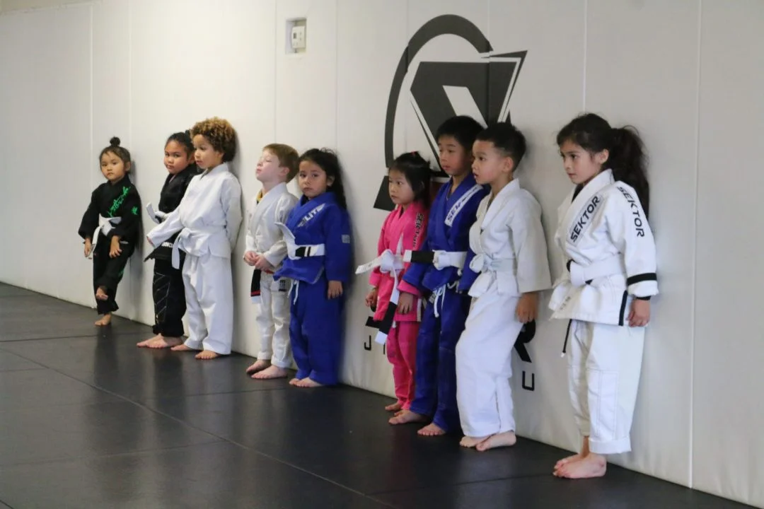 Sektor BJJ (Sektor Jiu-Jitsu) academy photo