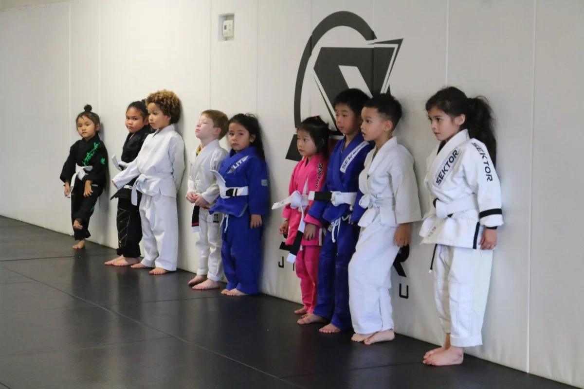 Sektor BJJ (Sektor Jiu-Jitsu) academy photo