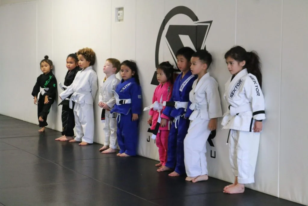 Sektor BJJ (Sektor Jiu-Jitsu) academy photo
