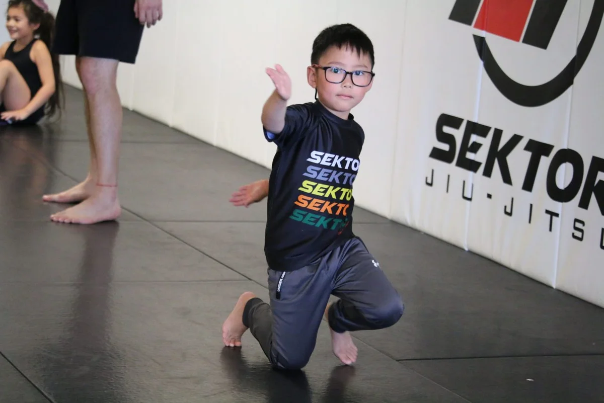 Sektor BJJ (Sektor Jiu-Jitsu) academy photo