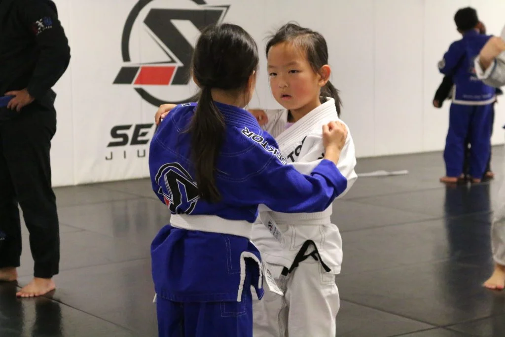 Sektor BJJ (Sektor Jiu-Jitsu) academy photo