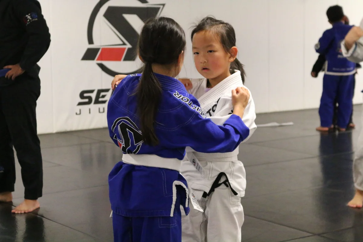 Sektor BJJ (Sektor Jiu-Jitsu) academy photo