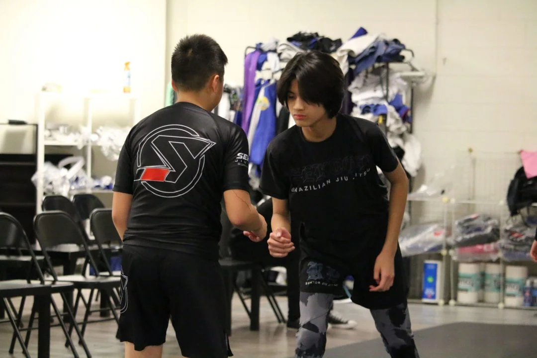 Sektor BJJ (Sektor Jiu-Jitsu) academy photo