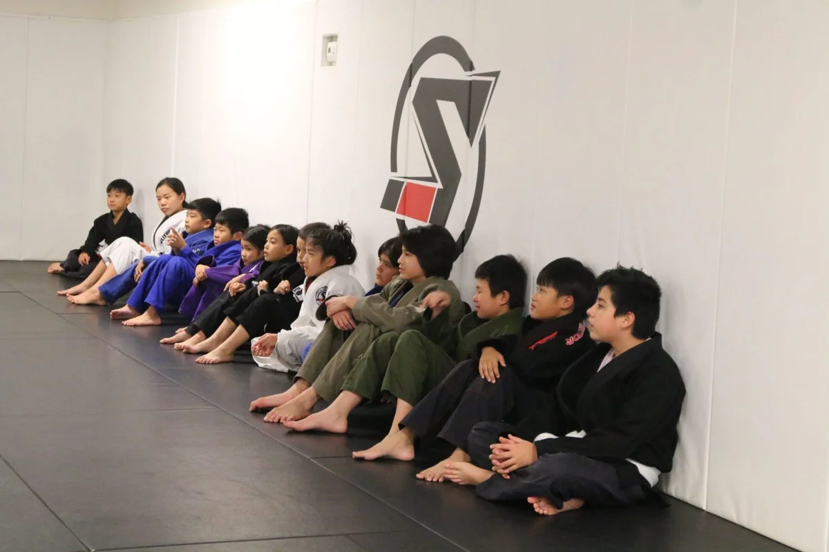 Sektor BJJ (Sektor Jiu-Jitsu) academy photo