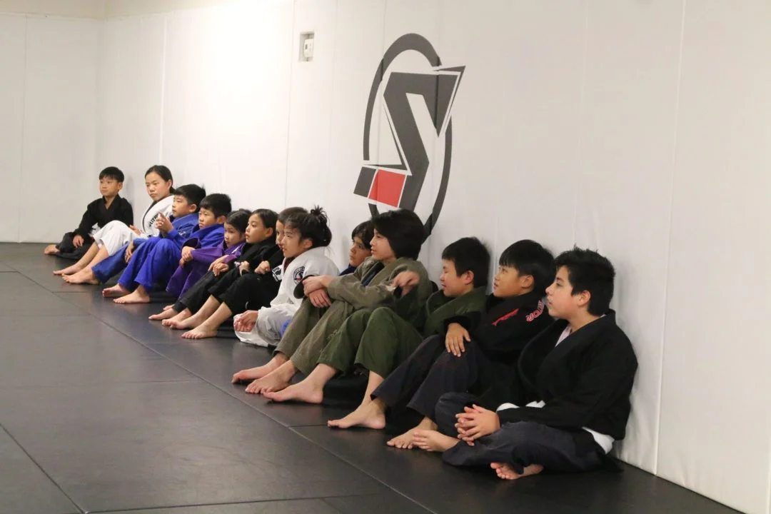 Sektor BJJ (Sektor Jiu-Jitsu) academy photo