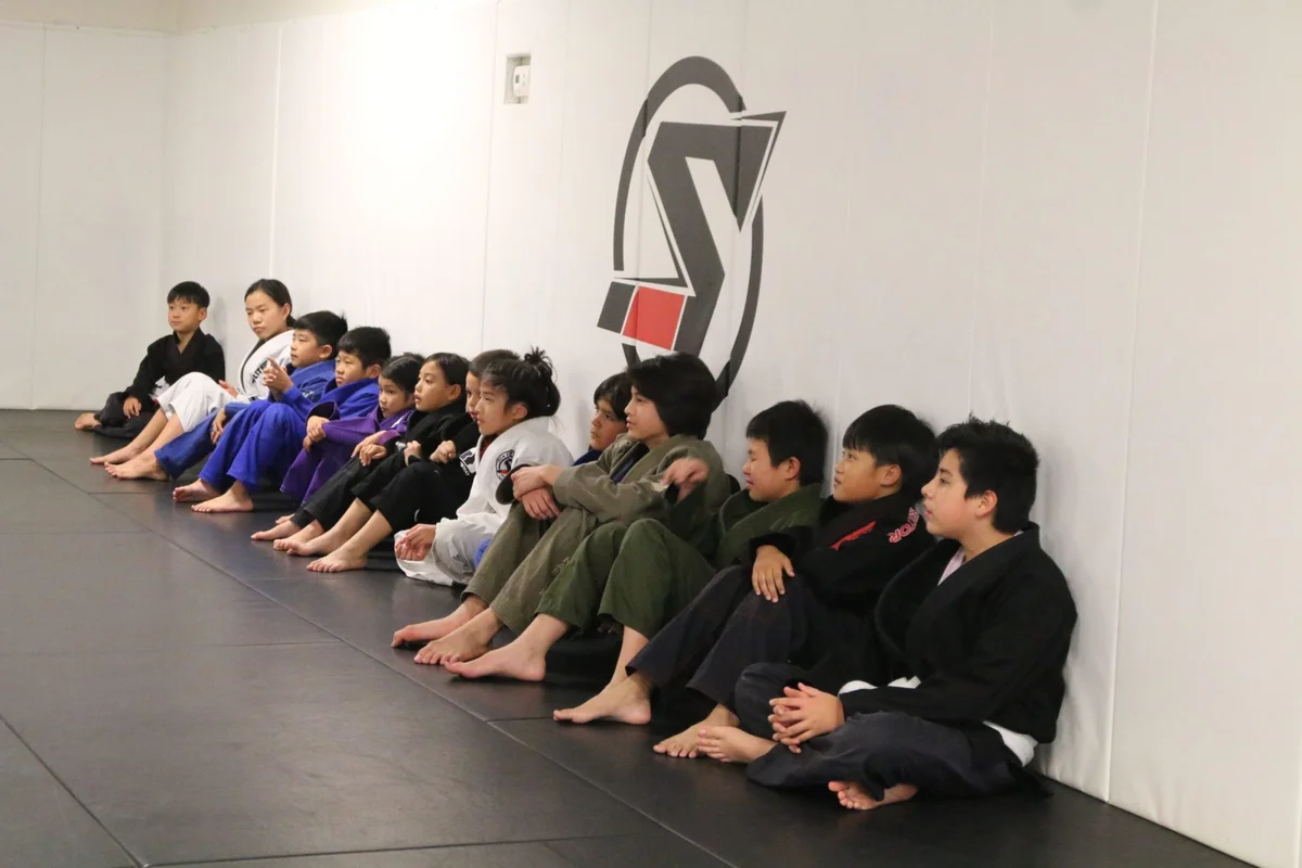 Sektor BJJ (Sektor Jiu-Jitsu) academy photo