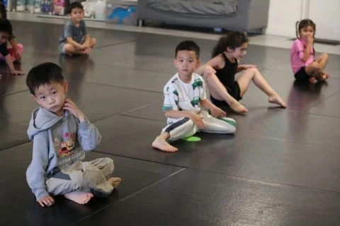 Sektor BJJ (Sektor Jiu-Jitsu) academy photo