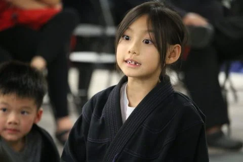 Sektor BJJ (Sektor Jiu-Jitsu) academy photo