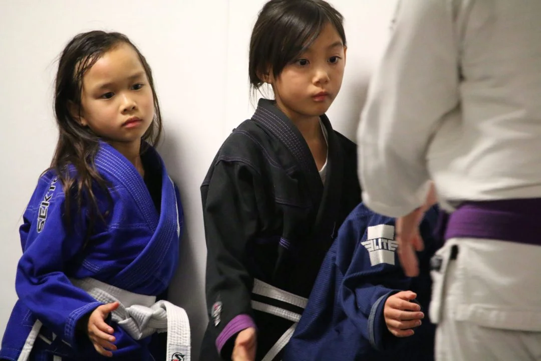 Sektor BJJ (Sektor Jiu-Jitsu) academy photo