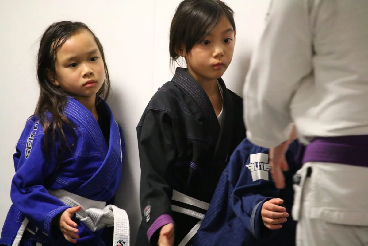 Sektor BJJ (Sektor Jiu-Jitsu) academy photo