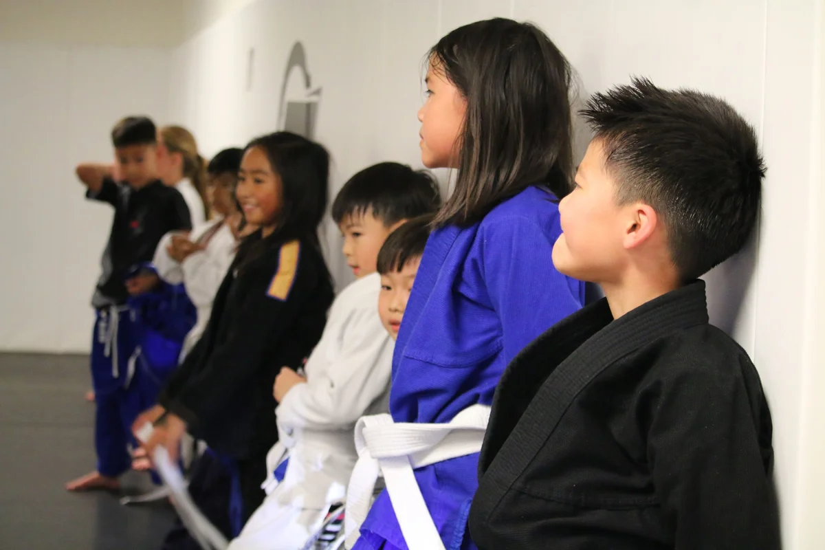 Sektor BJJ (Sektor Jiu-Jitsu) academy photo