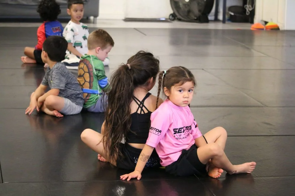 Sektor BJJ (Sektor Jiu-Jitsu) academy photo