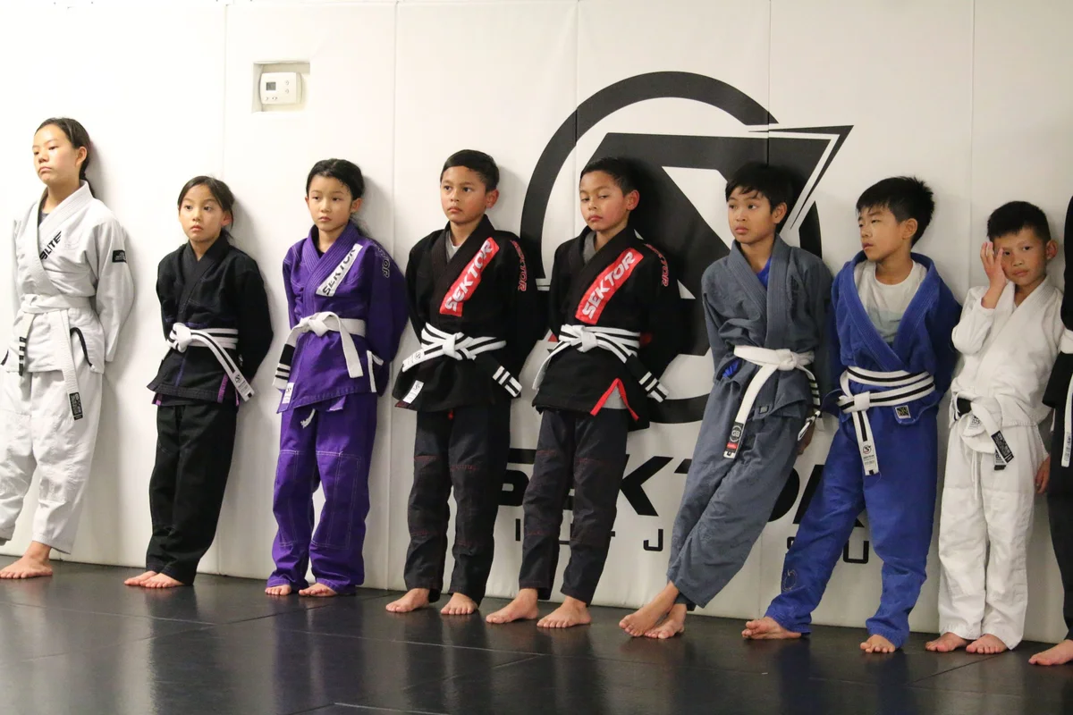Sektor BJJ (Sektor Jiu-Jitsu) academy photo