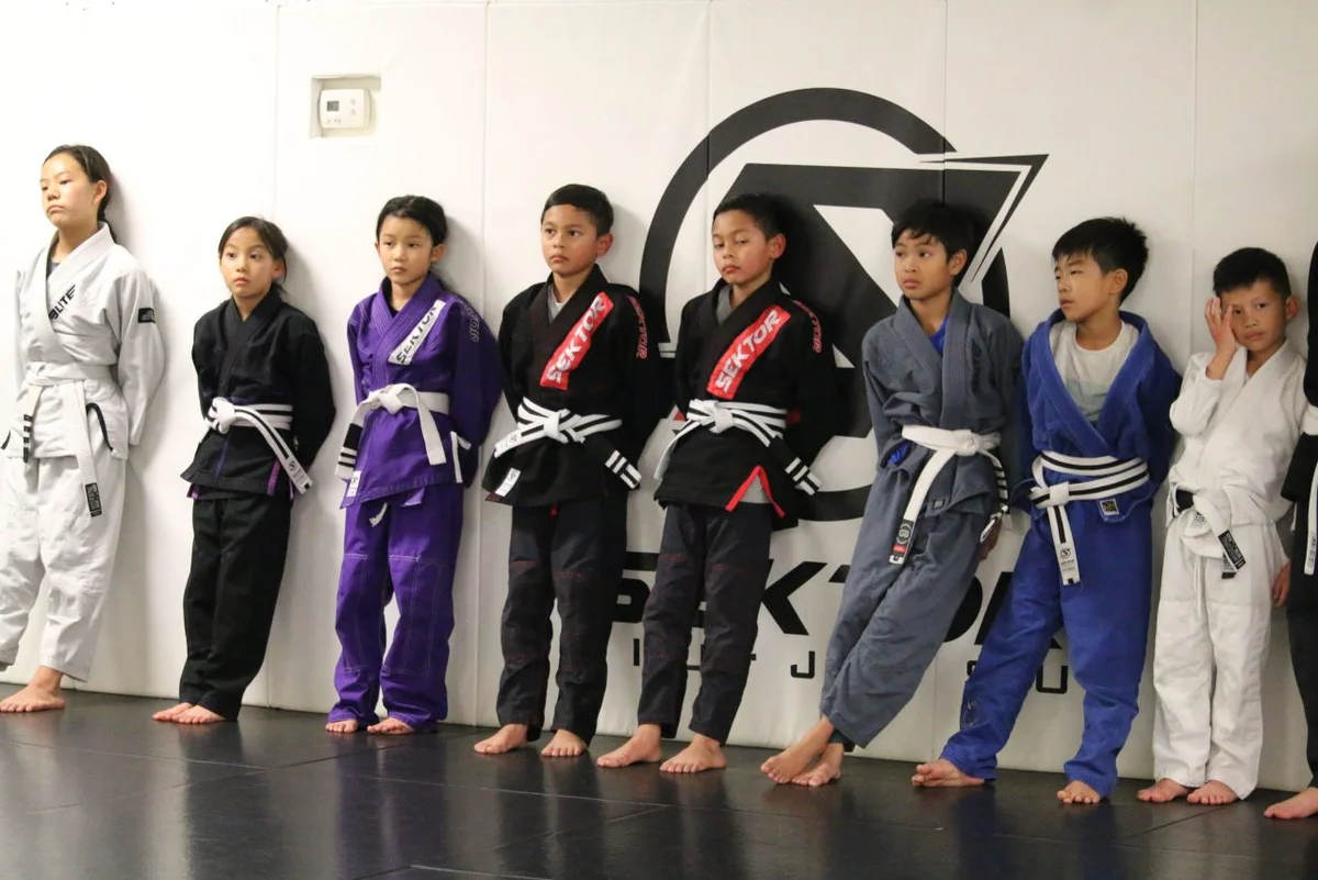 Sektor BJJ (Sektor Jiu-Jitsu) academy photo