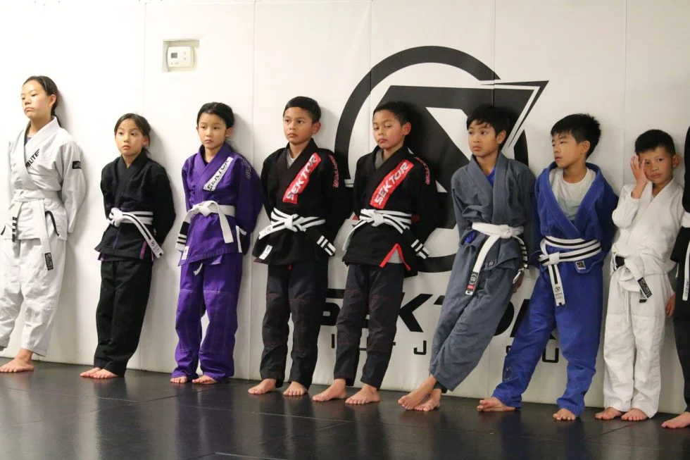 Sektor BJJ (Sektor Jiu-Jitsu) academy photo