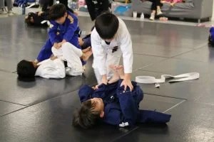 Sektor BJJ (Sektor Jiu-Jitsu) visual