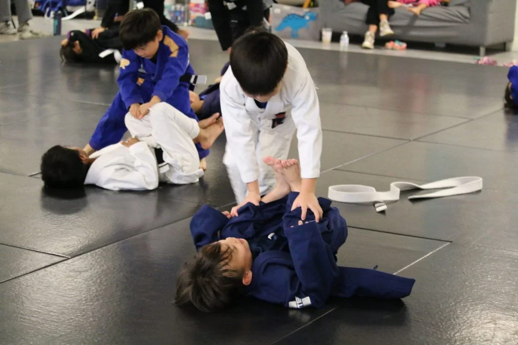 Sektor BJJ (Sektor Jiu-Jitsu) academy photo