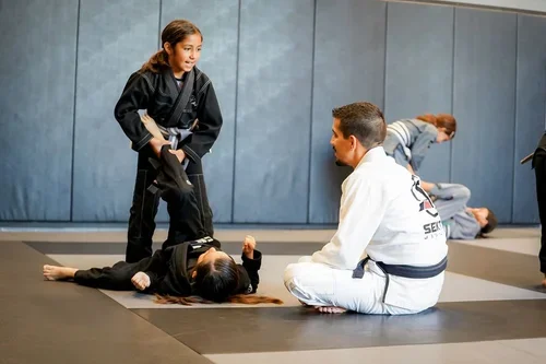 Sektor Jiu Jitsu Corona CA facility image