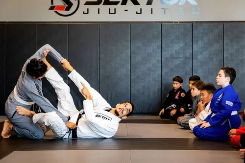 Sektor Jiu Jitsu Corona CA facility image