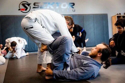 Sektor Jiu Jitsu Corona CA facility image