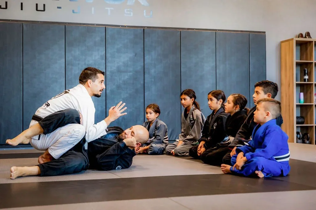 Sektor Jiu Jitsu Corona CA facility image