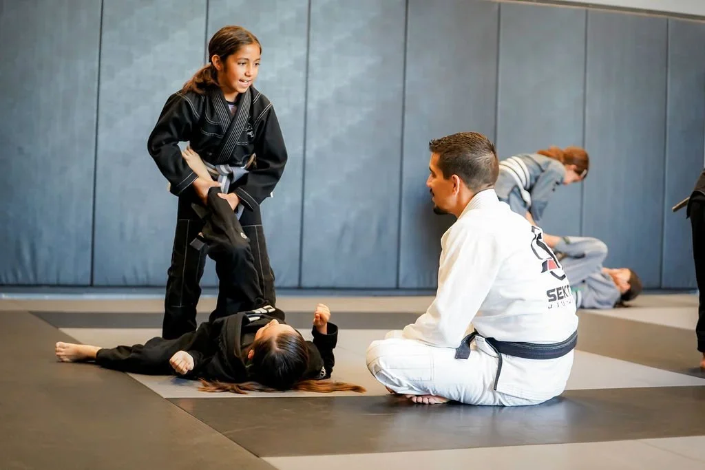 Sektor Jiu Jitsu Corona CA facility image