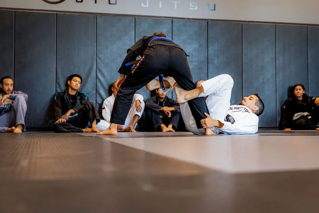 Sektor Jiu Jitsu Corona CA facility image