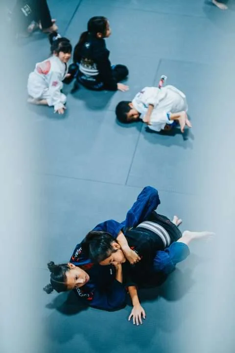 Sektor Jiu-Jitsu facility image