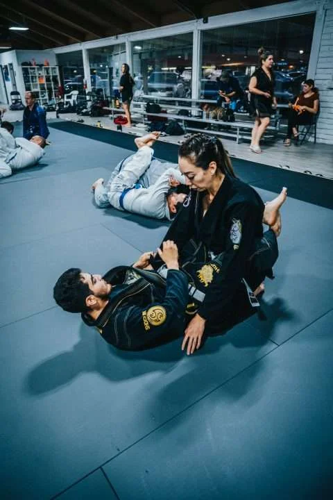 Sektor Jiu-Jitsu facility image