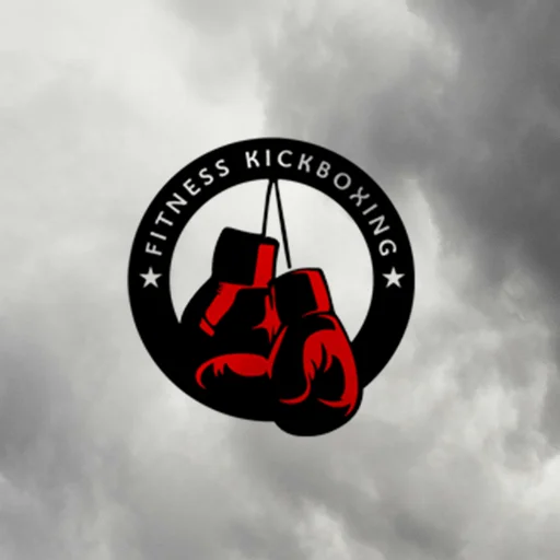 Seth Weil's Martial Arts academy logo