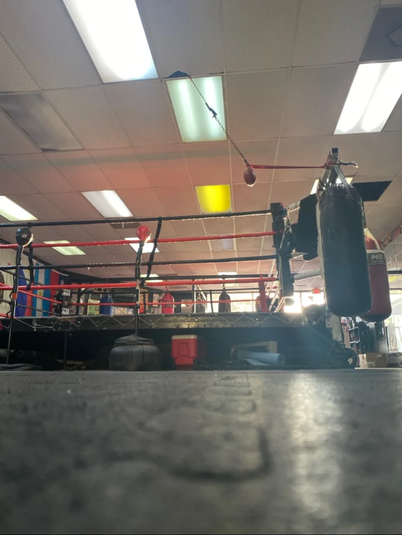 Silva Boxing - MMA academy photo