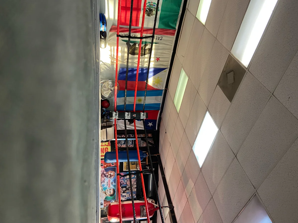 Silva Boxing - MMA academy photo
