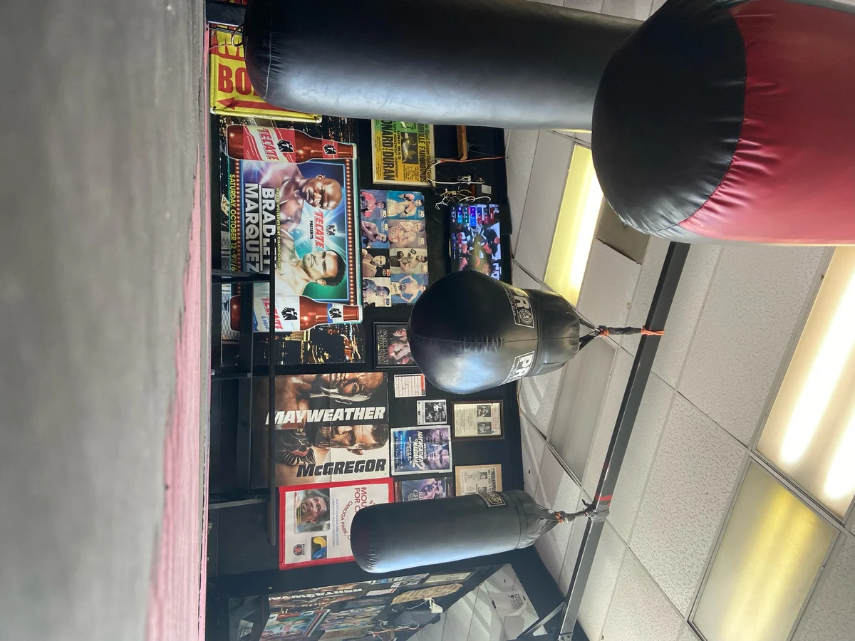 Silva Boxing - MMA academy photo
